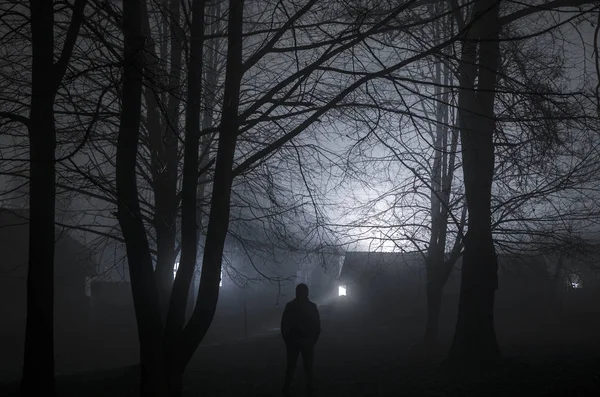 Strange Silhouette Dark Spooky Forest Night Mystical Landscape Surreal Lights — Stock Photo, Image
