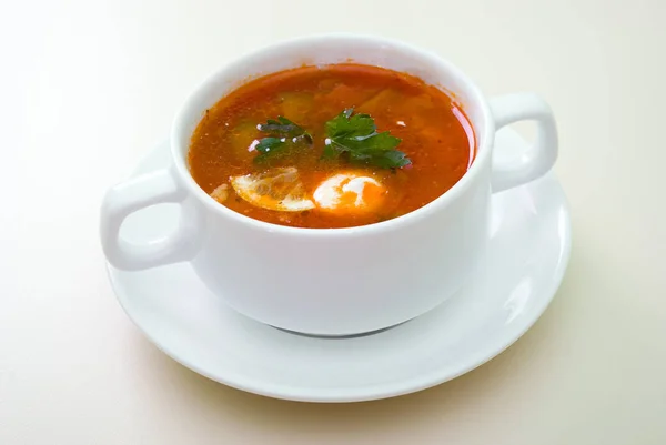 Sopa Con Pepinos Recogidos Russian Tart Sopa — Foto de Stock