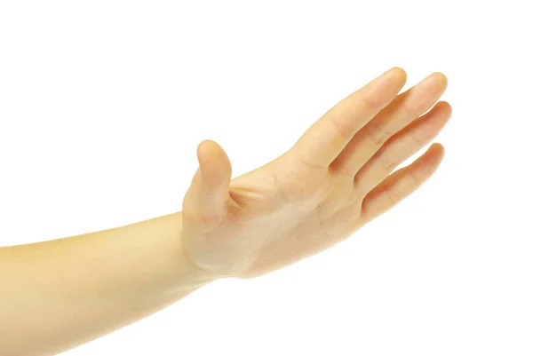 Рука Ізольована Білому — стокове фото