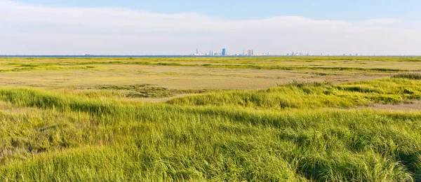 Panorama Atlantic City New Jersey Skyline Foreground Marsh Green Grass — Stock Photo, Image
