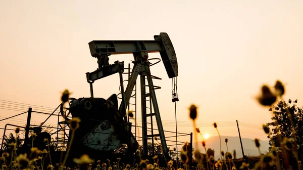 Pumpjack Einer Ölbohrstelle Und Sonnenuntergang — Stockfoto