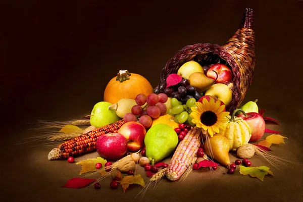 Primo Piano Autunno Cornucopia — Foto Stock