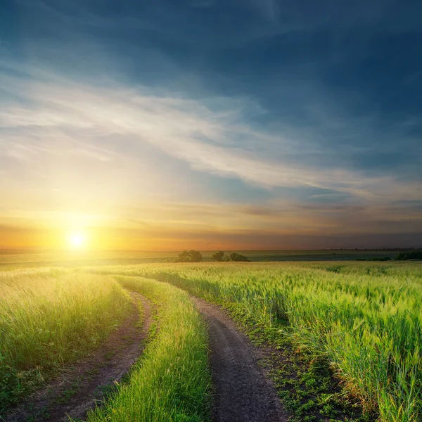 Sunset Dirty Road Green Fields — Stock Photo, Image