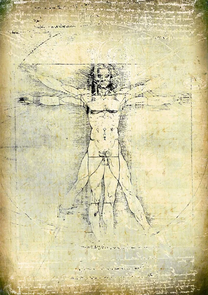 Foto Den Vitruvianske Mannen Leonardo Vinci Från 1492 — Stockfoto