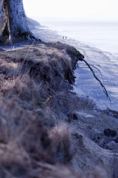 Landschaft Bei Tag — Stockfoto