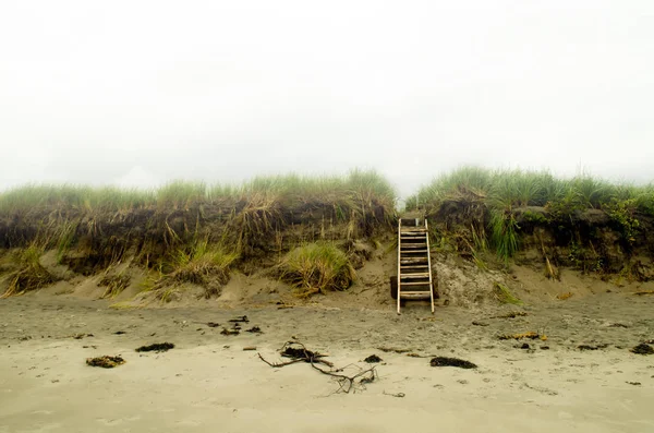 Ήσυχη Παραλία Ομιχλώδες Τοπίο Σκάλα — Φωτογραφία Αρχείου