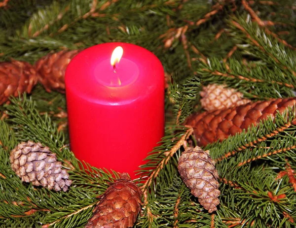Een Rode Kaars Voor Kerstmis Advent Met Kegels Dennennaalden — Stockfoto