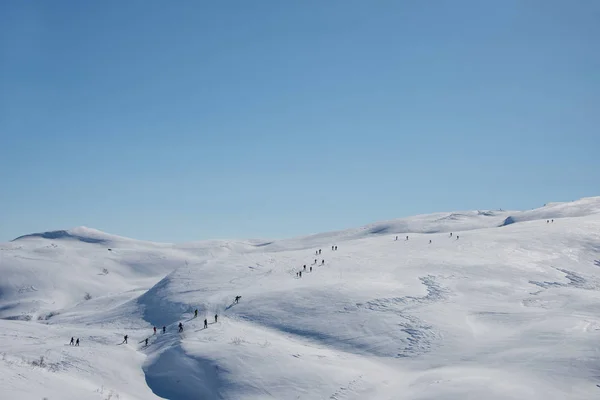 화창한 산에서 떨어진 크로스 컨트리 스키어 — 스톡 사진