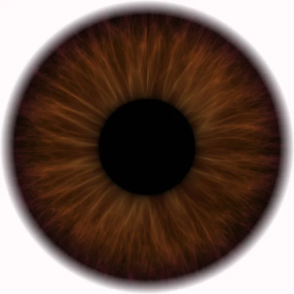 Brown Eye Closeup Isolated White Background — Stock Photo, Image