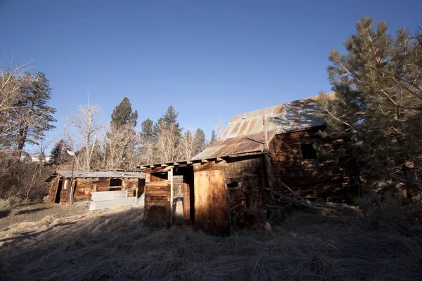 Antiguo Granero Abandonado Cabaña Bosque — Foto de Stock