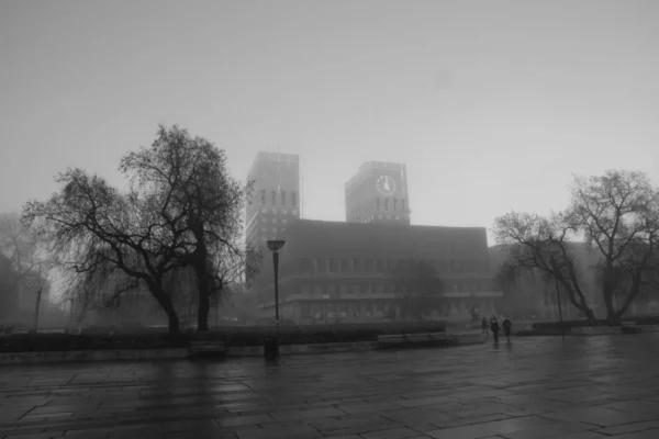 Hermosa Ciudad Oslo Fondo — Foto de Stock