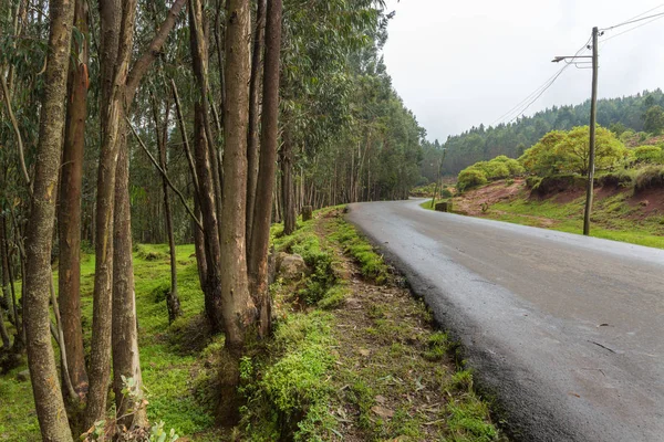 Vägen Som Leder Till Toppen Mount Entoto Strax Utanför Addis — Stockfoto