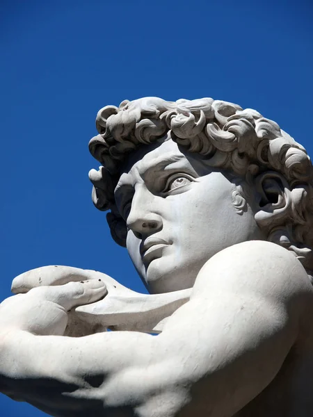 Firenze Michelangelo Dávid Szobra Piazza Signoriban — Stock Fotó