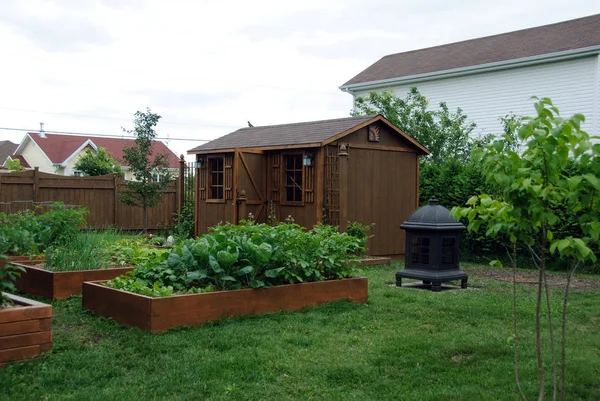 Una Jardinería Pies Cuadrados Patio Trasero Típico — Foto de Stock