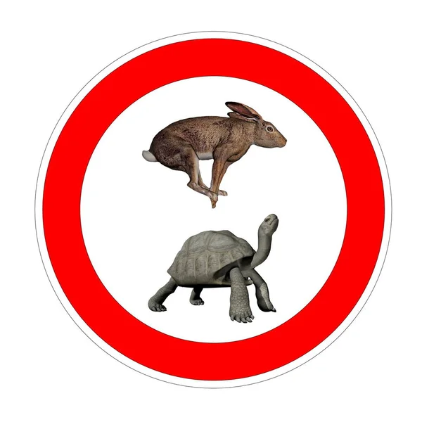 Hase Und Galapagos Schildkröte Tempolimit Symbol Auf Weißem Hintergrund — Stockfoto