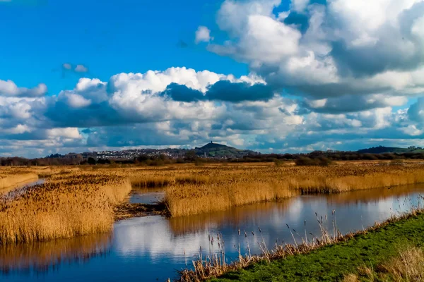 Vue Travers Les Lits Reed Vers Glastonbury Tor — Photo