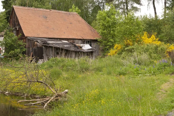 Ruta Senderismo Goldsteig Alemania — Foto de Stock