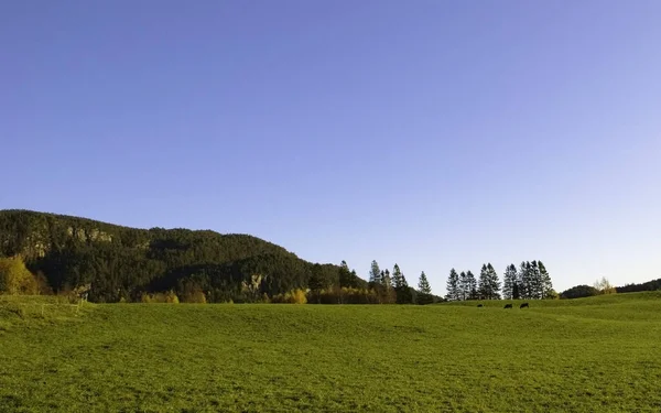 Malerische Aussicht Auf Schöne Naturlandschaft — Stockfoto