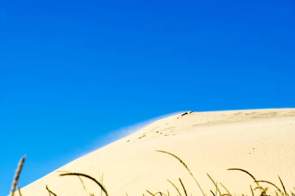 Сонячні Піщані Дюни Хвилясте Море Рубінового Дюйма — стокове фото