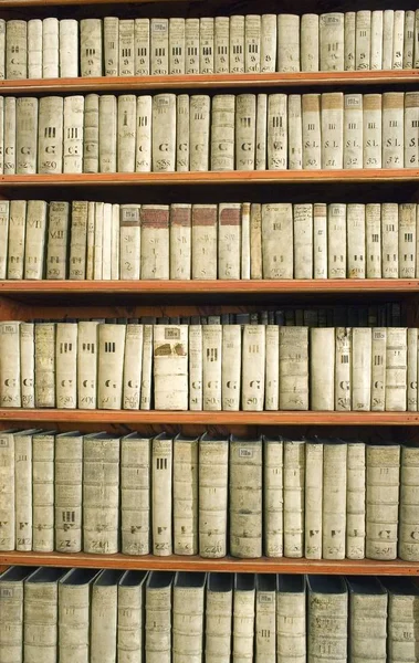 Βιβλιοθήκη Ένα Πίσω Οστό Από Vintage Βιβλία — Φωτογραφία Αρχείου