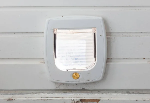 軽いドアに定期的に白猫フラップのビュー内のフラップ閉鎖 — ストック写真