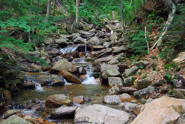 Image Une Petite Chute Eau Naturelle Été — Photo