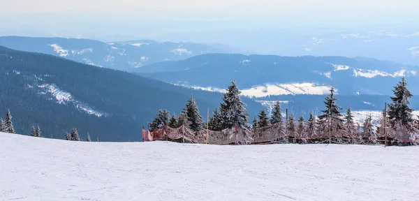 Snöiga Tjeckiska Bergstopp Huvudsakliga Skidsäsongen — Stockfoto