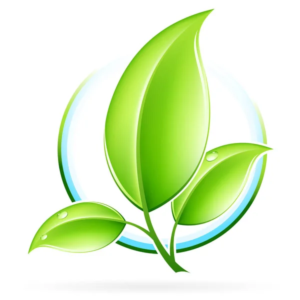 Green Ecology Concept Icon Leaf Your Design — Stock Photo, Image