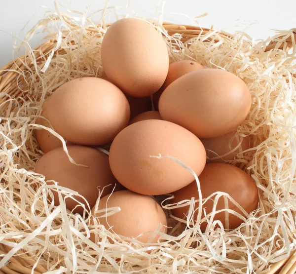 Embreagem Ovos Uma Cesta Cheia Aparas — Fotografia de Stock
