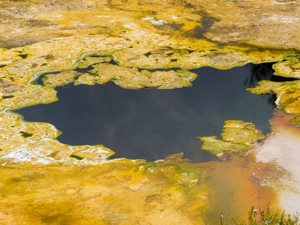 Crecimiento Algas Formando Patrón Capa Gruesa Sobre Superficie Del Agua — Foto de Stock