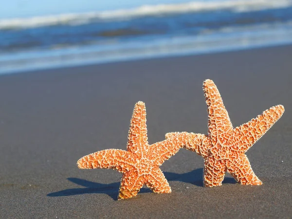 Twee Starfish Met Schaduwen Het Strand Met Oceaan Golven Achtergrond — Stockfoto