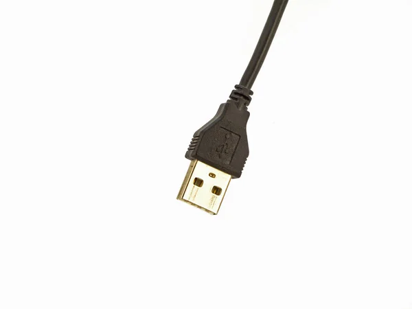 Spina Cavo Usb Nera Isolata Sfondo Bianco — Foto Stock