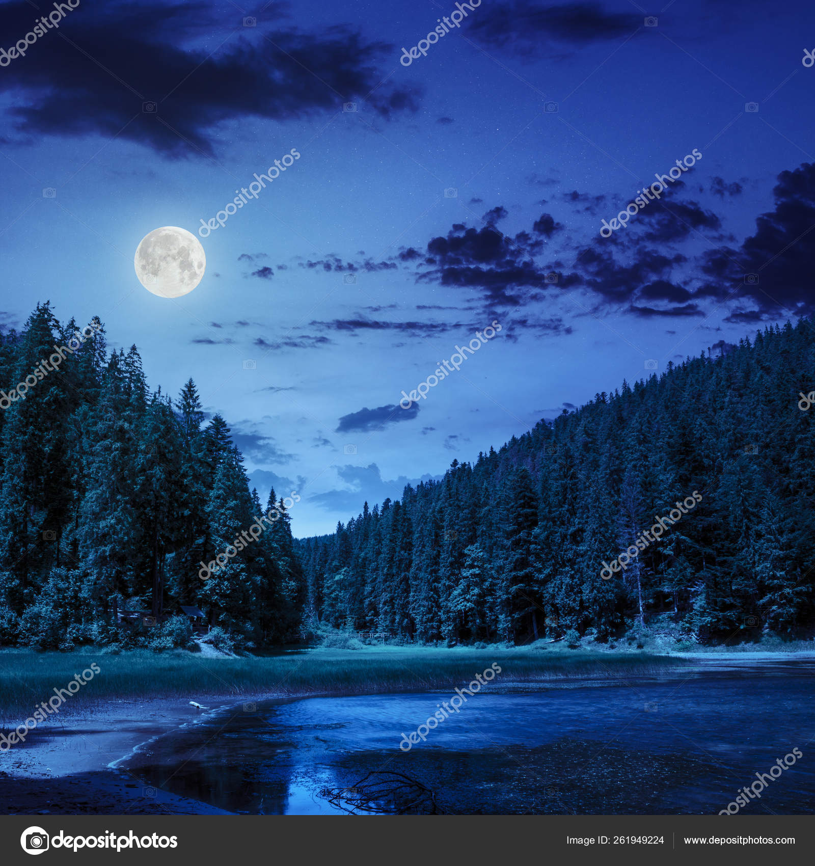 View Lake Pine Forest Mountain Background Night Moon Light Stock Photo by  ©YAYImages 261949224