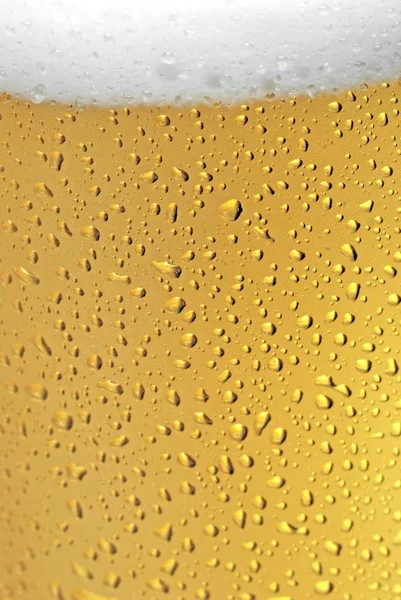 Glas Kaltes Bier — Stockfoto