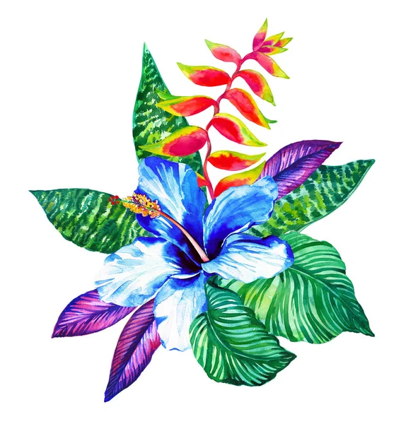 Composição Tropical Central Hibisco Plumeria Monstera Palma Pássaro Paraíso Desenhado — Fotografia de Stock