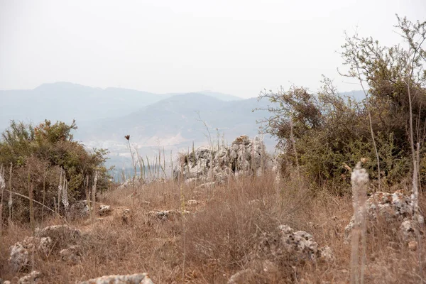 Escursioni Nella Riserva Naturale Della Gallia Settentrionale Israele — Foto Stock