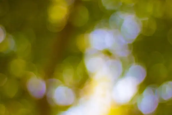 Bokeh Desfocado Fora Foco Fundo — Fotografia de Stock