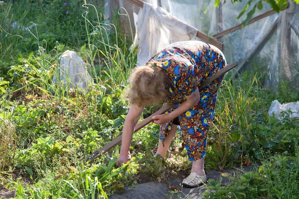 Стара Жінка Подрібнювачем Працює Саду — стокове фото