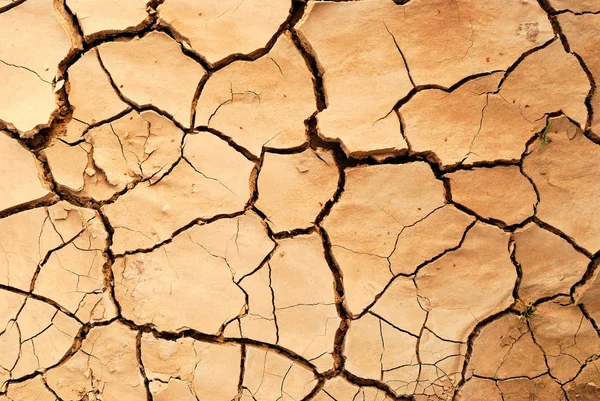 Cracked Earth Dry Desert — Stock Photo, Image