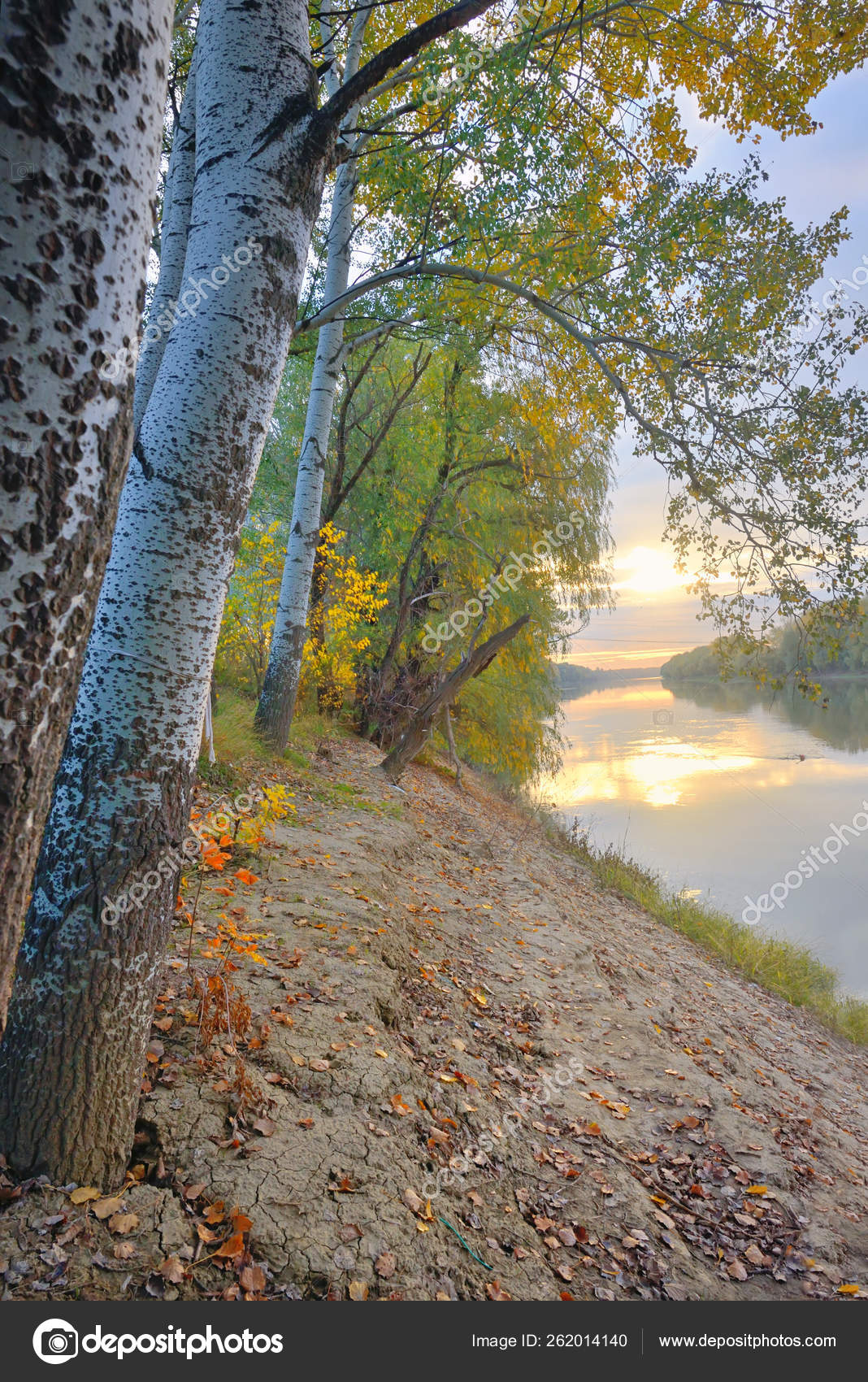 Rio Siret Nascer Sol Floresta Outono Stock Photo C Yayimages 262014140