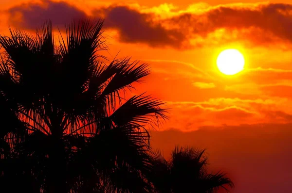 金色的夕阳在地中海区域在温暖的颜色 — 图库照片