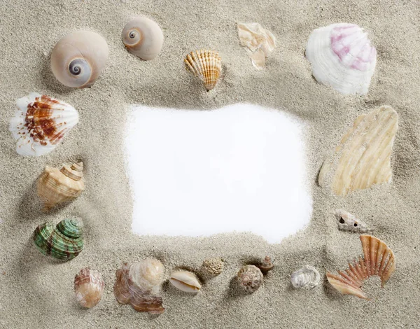 Grens Zomer Schelpen Frame Samenstelling Strand Zand Strand Met Blanco — Stockfoto