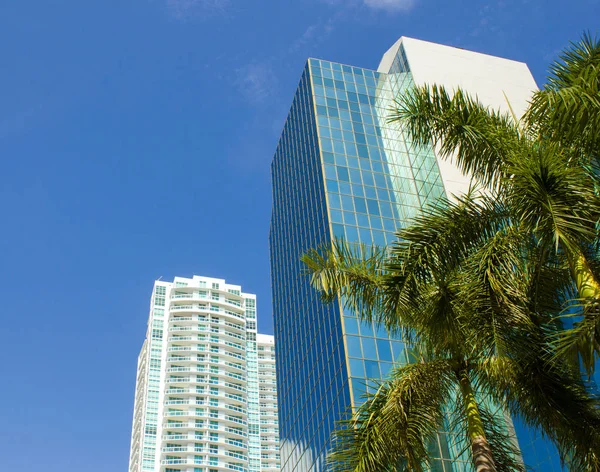 Miami Estados Unidos Paisaje Tropical Con Palmeras Rascacielos — Foto de Stock