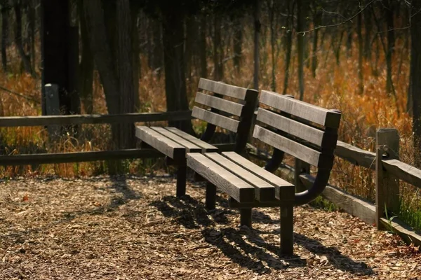 Två Bänkar Parken Vårtid — Stockfoto