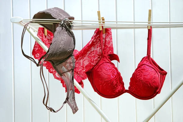 Reggiseni Colorati Mutandine Asciugatura Clothesline — Foto Stock