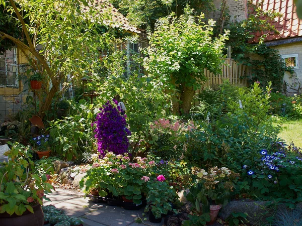 Attraktiva Blommande Land Engelska Trädgård Stil — Stockfoto