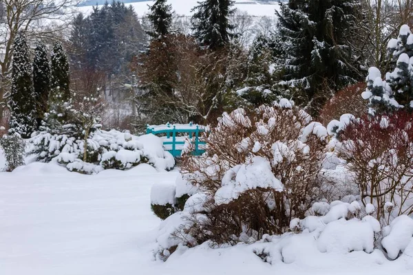 Belo Jardim Inverno Sempre Verde Com Coníferas Árvores Cobertas Neve — Fotografia de Stock