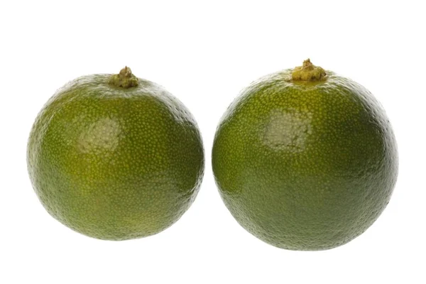 Image Macro Isolée Citron Vert Frais — Photo