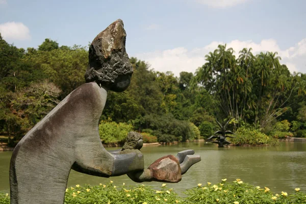 Lago Jardín Botánico Singapur — Foto de Stock