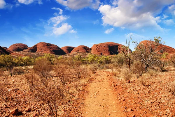 Прекрасные Цвета Пейзаж Австралийского Outback — стоковое фото